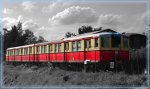 FAQ_Forum_S-Bahn_schwarz-weis.jpg