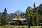 IMG_1384ds.jpg