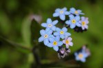 IMG_13911.jpg