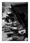 DSC_0377-Tails.jpg