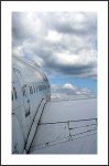 fly fly into the sky.jpg