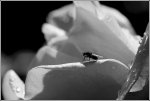 IMG_5560-2.jpg