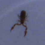 BILD0319.JPG