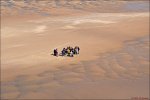 Am Meer bei Ebbe 2 DSC_1251_897x596_(C).jpg