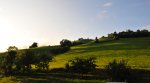 DSC_8488_2_faq.jpg