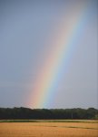 Regenbogen2_900.jpg