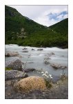DSC_0665-The Rhone near Gletsch-VS.jpg