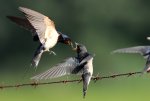 IMG_8691.jpg