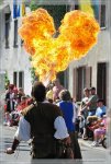 comp_DSC_3488 Feuerspeier_537x800.jpg