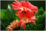 FAQ_IMG_6861.jpg