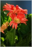 FAQ_IMG_6867.jpg
