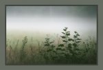 Morgens-um-sieben1.jpg