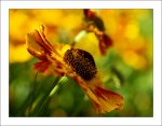 farben4.JPG