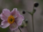 _8235225-Mini.jpg