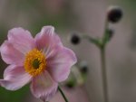 _8235225-Mini-2.jpg