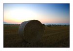 DSC_0778-Early Morning-near-Grenchen-Mittelland.jpg