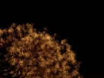 Feuerwerk1.JPG