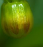 P9041105_klein_zuschnitt1.jpg
