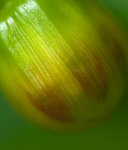 P9041105_klein_zuschnitt2.jpg