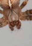 IMG_1478klein.jpg