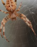 IMG_1483klein.jpg