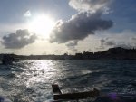 DSC02105-1.jpg
