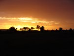 DSC01471.jpg