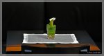 comp_DSC_3764 Einsame Pflanze.jpg