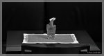 comp_DSC_3764 Einsame Pflanze B&W 1.jpg