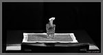 comp_DSC_3764 Einsame Pflanze B&W 2 Rotfilter HK.jpg