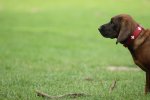IMG_5461_bearbeitet-1.jpg