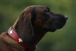 IMG_5630_bearbeitet-1.jpg