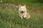 comp_IMG_6063.jpg