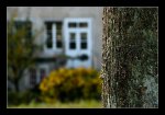 DSC_0113_Homeview.jpg