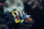 bearbeitet_IMG_8575.jpg