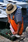 DSC_0963_faq.jpg