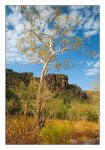 DSC_0993-Nourlangie-Kakadu Natl Park-NT-Australia.jpg