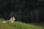 bearbeitet_IMG_6039.jpg