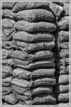 comp_DSC_3793  korrigiert.jpg
