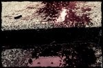 blood 038.jpg