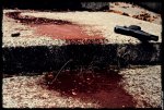 blood 062 2.jpg