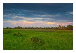 DSC_1041-Bearbeitet-Yellow Water-Kakadu Natl Park-NT-Australia.jpg