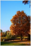 FAQ_Forum_Herbst_02_kopie_II.jpg