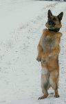 DSC00282.jpg