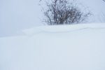 DSC00394.jpg