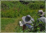 comp_DSC_2102.jpg