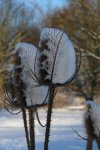 CIMG0536_bearbeitet-1.jpg