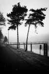 _DSC8814 Kopie.jpg