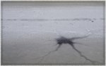 Winter20100115_0044_bearb.jpg