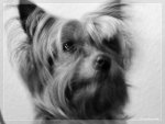comp_IMG_0078 Kopie.jpg